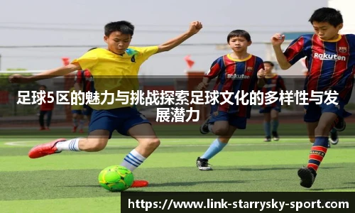 足球5区的魅力与挑战探索足球文化的多样性与发展潜力